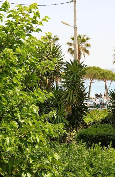 Blue Summer Vibes Duplex Studio For 4P, Ac, Sea View, Parking, Beach At 50M, Spa Access -3 La Ciotat Ngoại thất bức ảnh